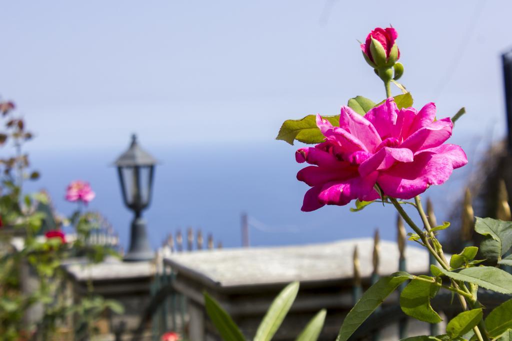 Guesthouse Papagiannopoulou Zagora Exterior foto